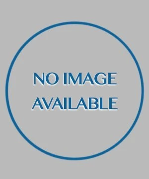 Pan Jing