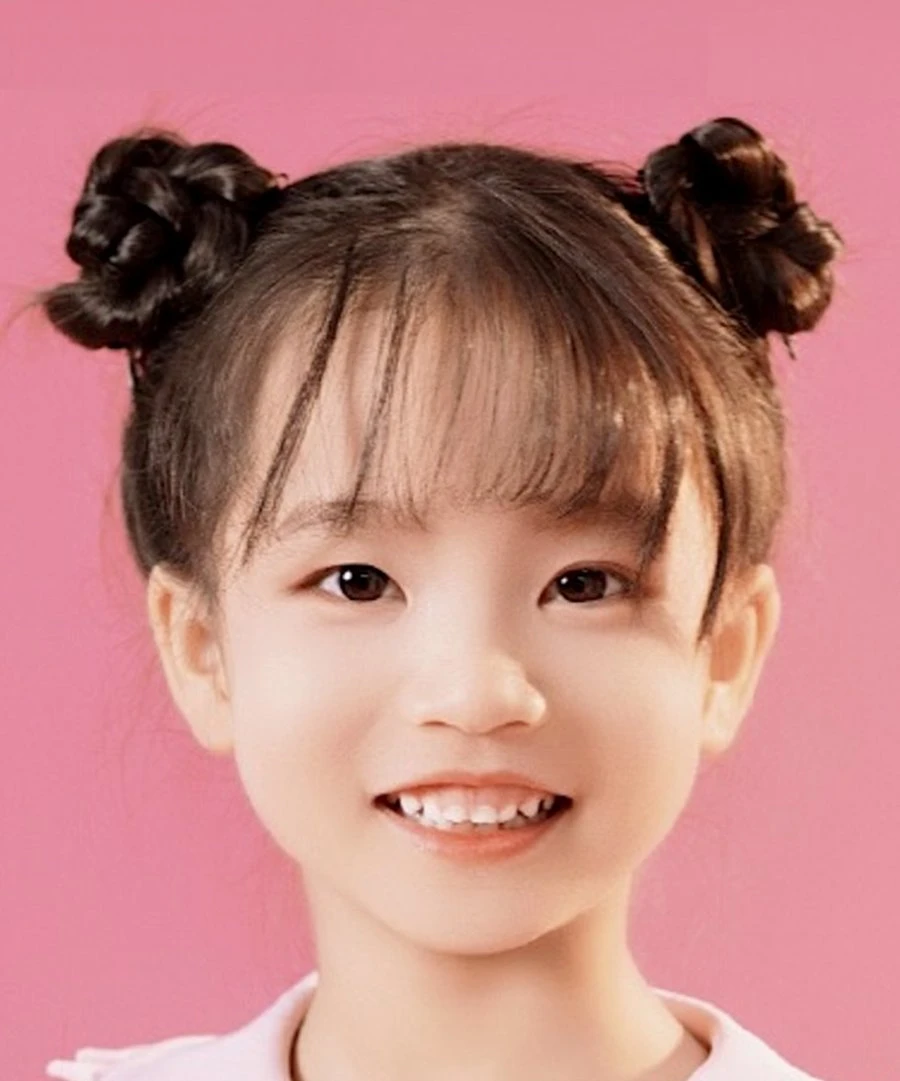 Zhao Ai Cheng