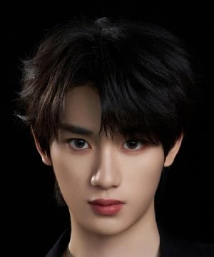 Ding Cheng Xin