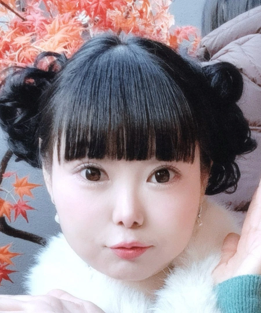 Ye Hong Mei