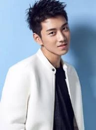 Liu Jun Qi